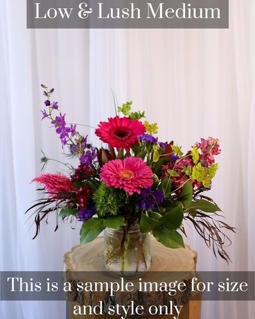 Medium Low & Lush size, inches height and inches wide.