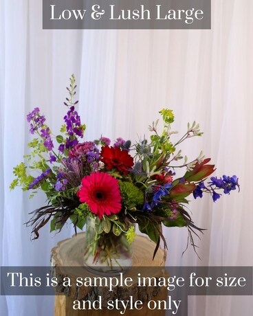 Large Low & Lush size, inches height and inches wide.