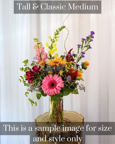 Medium Tall & Classic size, inches height and inches wide.