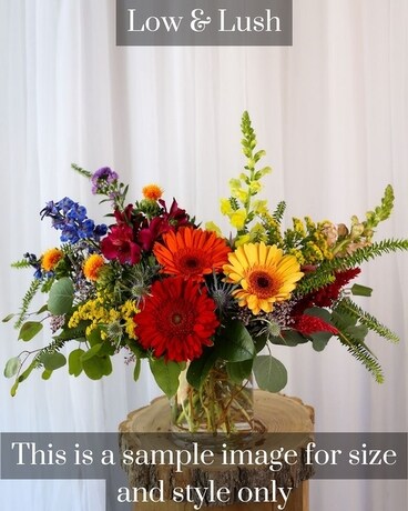 Medium Low & Lush size, inches height and inches wide.