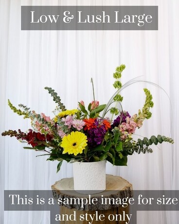 Large Low & Lush size, inches height and inches wide.