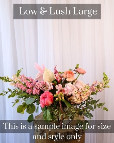 Large Low & Lush size, inches height and inches wide.