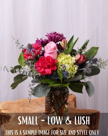 Small Low & Lush size, inches height and inches wide.