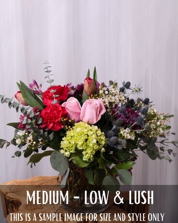 Medium Low & Lush size, inches height and inches wide.