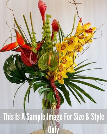Tall Tropical Arrangement size, inches height and inches wide.