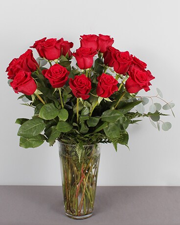 Two Dozen Red Roses size, inches height and inches wide.