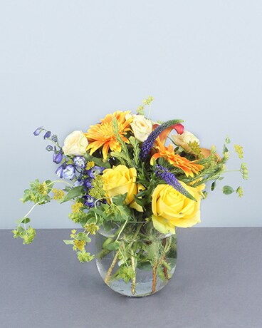 Standard size, 10 inches height and 10 inches wide.