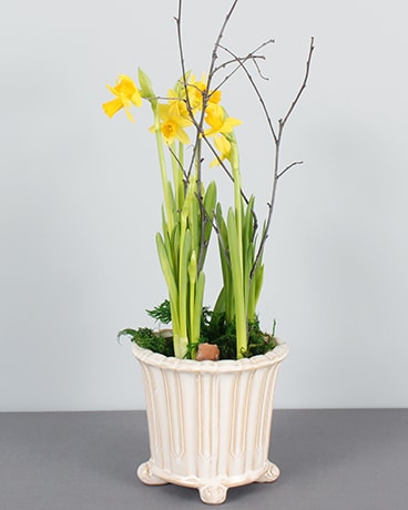 Standard size, 10 inches height and 4 inches wide.