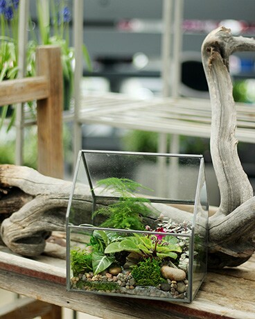Standard size, 9 inches height and 8 inches wide.