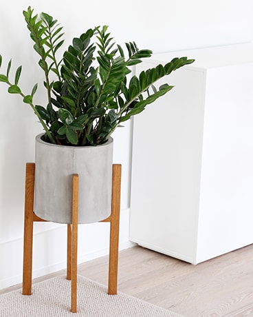 Monthly plant only size, inches height and inches wide.