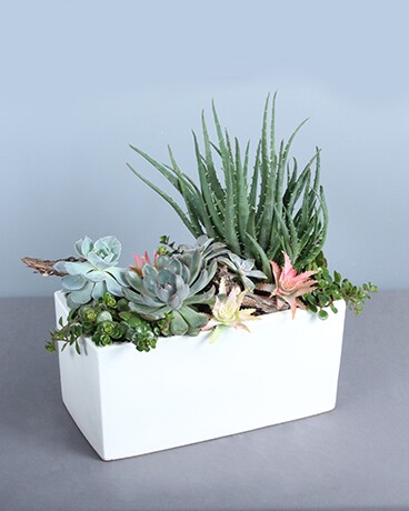 Standard size, 14 inches height and 16 inches wide.