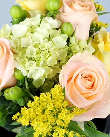 Low and Lush- Medium size, inches height and inches wide.