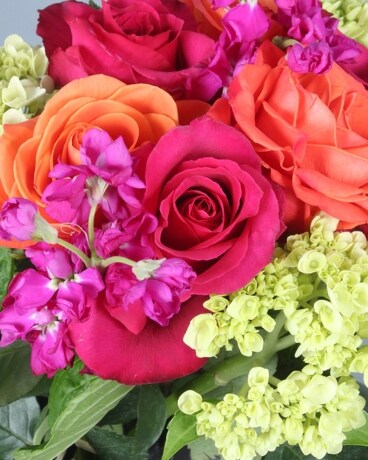 Low and Lush- Small size, inches height and inches wide.