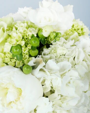 Tall and Airy size, inches height and inches wide.