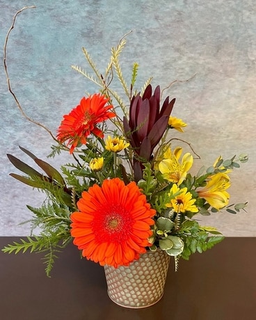 Standard size, 17 inches height and 11 inches wide.