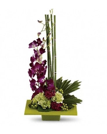 Deluxe size, 23 inches height and 12.5 inches wide.