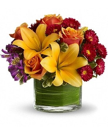 Deluxe size, 11 inches height and 11 inches wide.