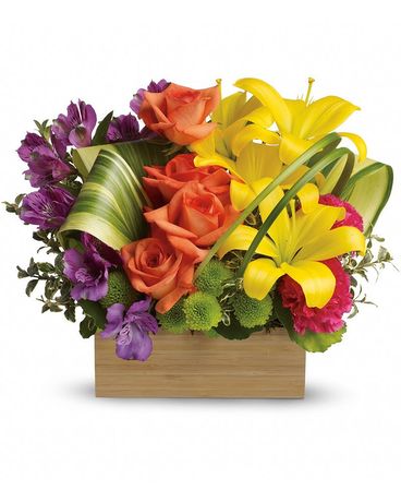 Deluxe size, 14 inches height and 13 inches wide.