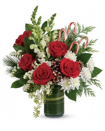 Deluxe size, 18 inches height and 16.5 inches wide.