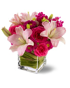 As Shown size, 11 inches height and 11.5 inches wide.