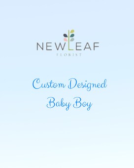 Premium size, inches height and inches wide.