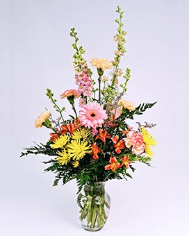 As Shown size, inches height and inches wide.