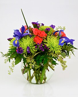 As Shown size, inches height and inches wide.