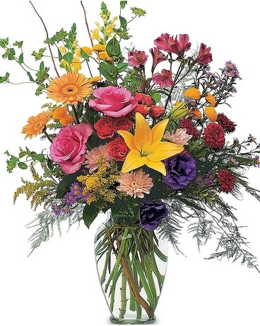 Deluxe (as shown) size, inches height and inches wide.
