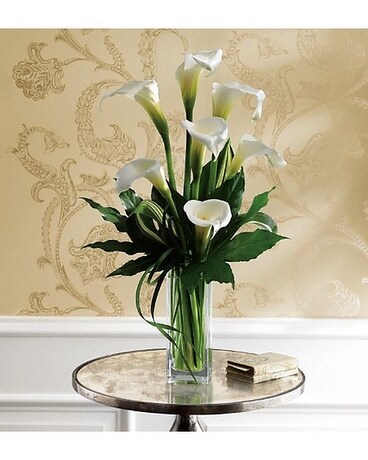 Deluxe (as shown) size, inches height and inches wide.