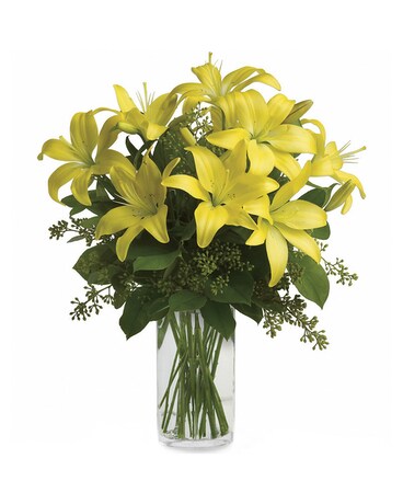 Standard 6 Stems size, inches height and inches wide.