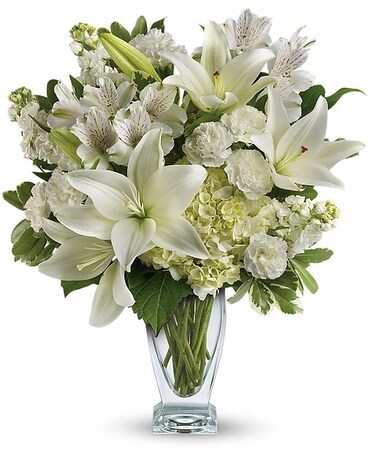 Deluxe As shown size, 18 inches height and 15 and a half inches wide.