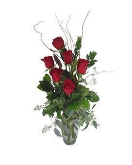 As Shown- Red size, inches height and inches wide.