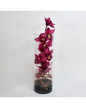 Amended-Pink size, inches height and inches wide.