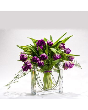 As Shown-20 size, inches height and inches wide.