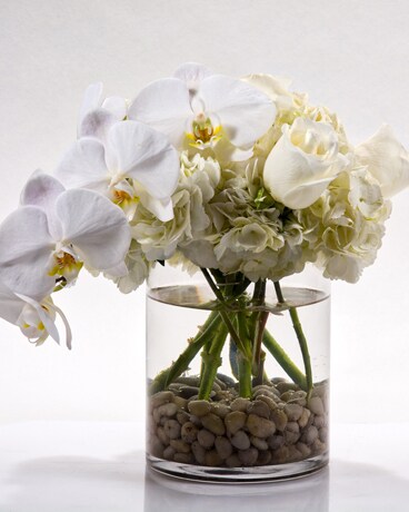 Premium-with 3 orchid stems size, inches height and inches wide.