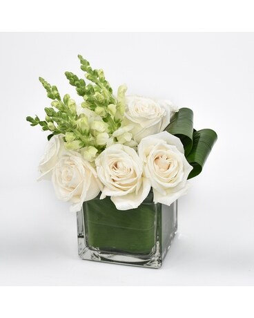 Deluxe size, inches height and inches wide.