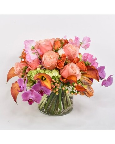 Deluxe-No Phal Orchids-image coming soon size, inches height and inches wide.