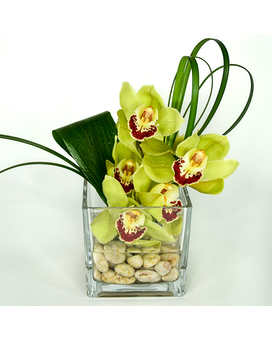 As Shown size, 12 inches height and 8 inches wide.