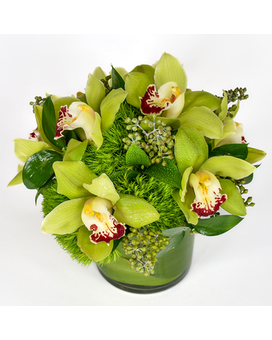 As Shown size, 12 inches height and 12 inches wide.