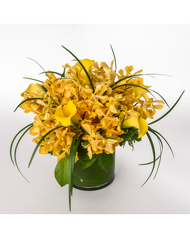 As Shown size, 14 inches height and 14 inches wide.