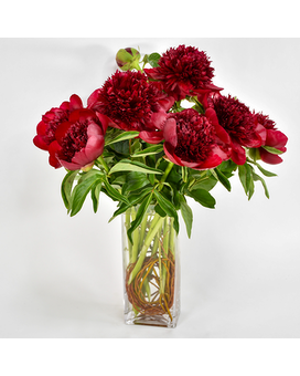 As Shown-10 stems size, 16 inches height and 14 inches wide.