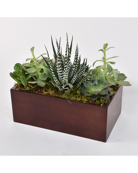 As Shown size, inches height and inches wide.