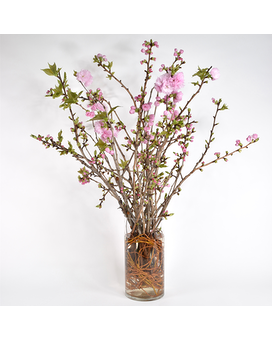 Cherry Blossom NYC Flower Arrangement