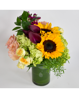 Deluxe-Taller size, inches height and inches wide.