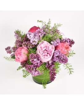 Standard size, 14 inches height and 14 inches wide.