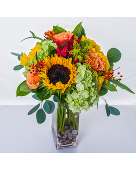 Standard size, 15 inches height and 6 inches wide.