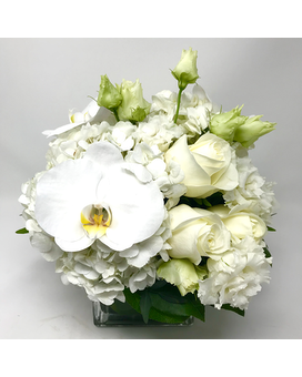Standard size, 10 inches height and 10 inches wide.
