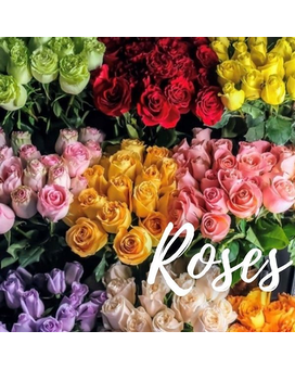 Mixed Colored Roses-Two Dozen size, inches height and inches wide.