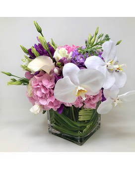 Standard size, 14 inches height and 12 inches wide.