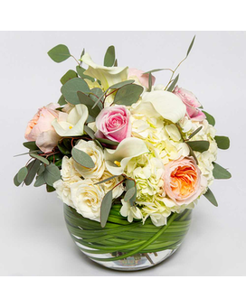 Standard- size, 14 inches height and 10 inches wide.